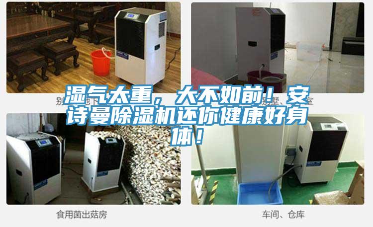 濕氣太重，大不如前！安詩曼除濕機還你健康好身體！