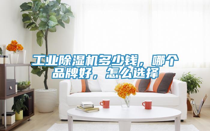 工業(yè)除濕機(jī)多少錢，哪個(gè)品牌好，怎么選擇