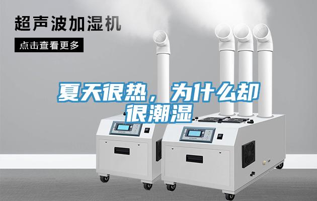 夏天很熱，為什么卻很潮濕