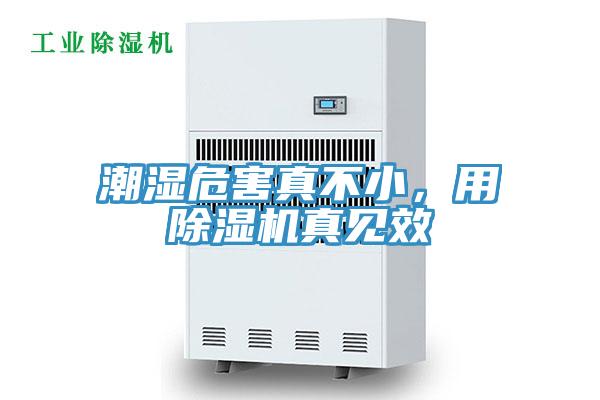 潮濕危害真不小，用除濕機真見效