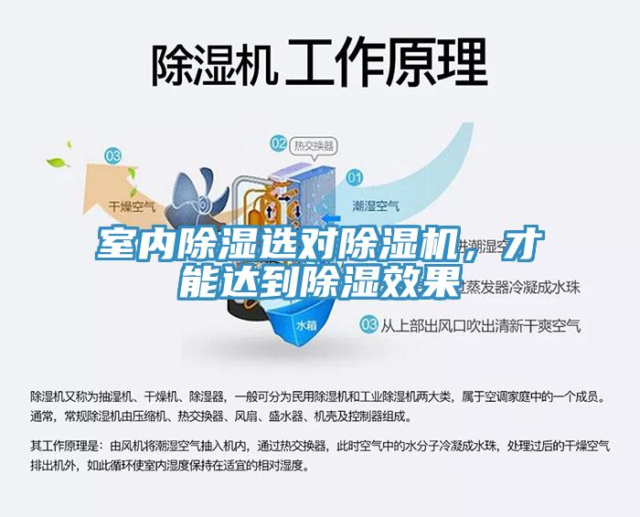 室內(nèi)除濕選對除濕機，才能達到除濕效果