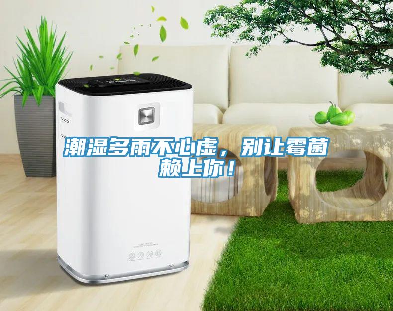 潮濕多雨不心虛，別讓霉菌賴上你！