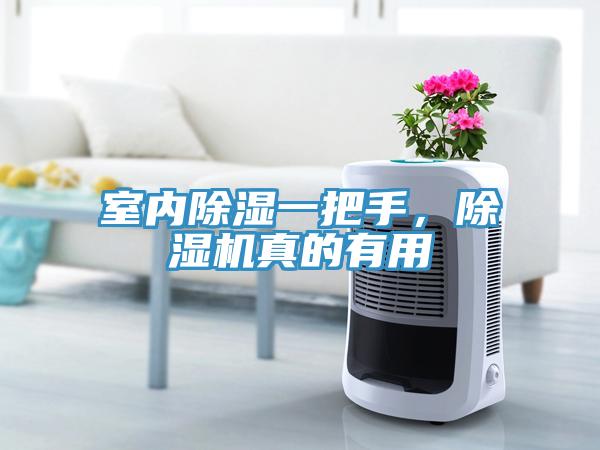 室內(nèi)除濕一把手，除濕機真的有用