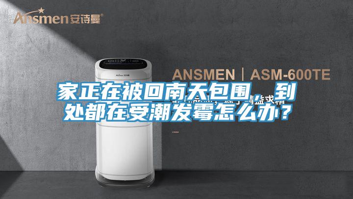 家正在被回南天包圍，到處都在受潮發(fā)霉怎么辦？