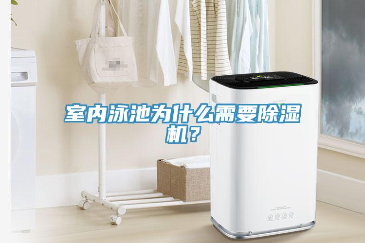 室內(nèi)泳池為什么需要除濕機(jī)？