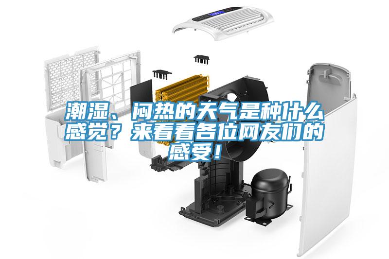 潮濕、悶熱的天氣是種什么感覺？來看看各位網(wǎng)友們的感受！