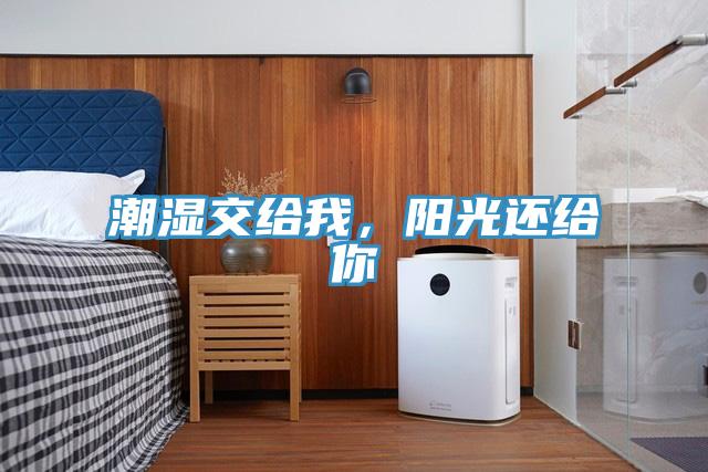 潮濕交給我，陽光還給你