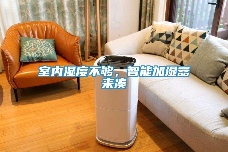 室內濕度不夠，智能加濕器來湊