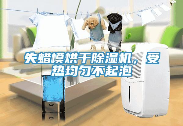失蠟?zāi)：娓沙凉駲C(jī)，受熱均勻不起泡