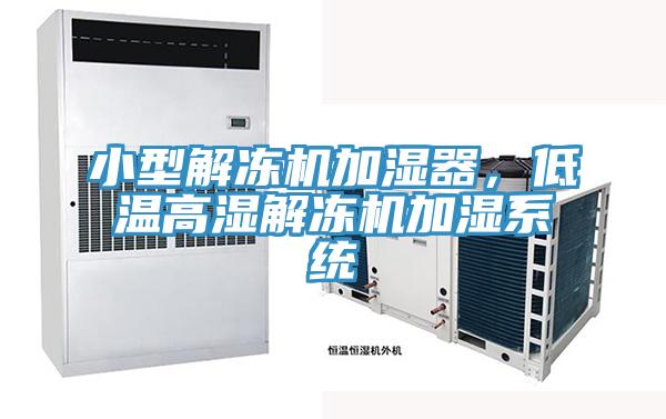 小型解凍機(jī)加濕器，低溫高濕解凍機(jī)加濕系統(tǒng)