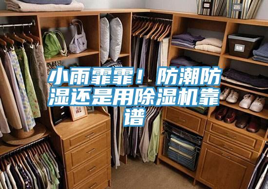 小雨霏霏！防潮防濕還是用除濕機(jī)靠譜