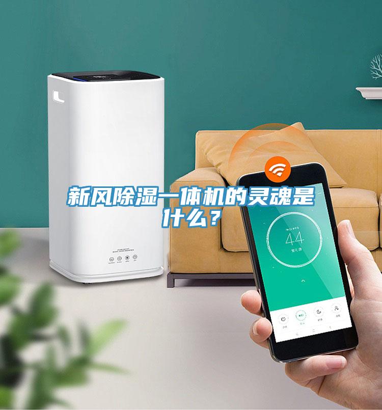 新風(fēng)除濕一體機(jī)的靈魂是什么？