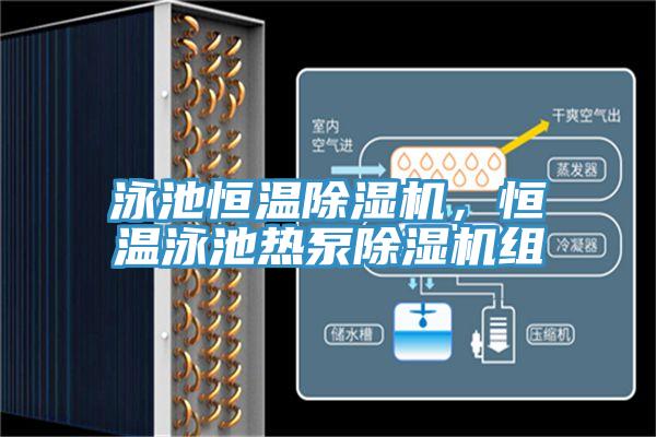 泳池恒溫除濕機，恒溫泳池熱泵除濕機組