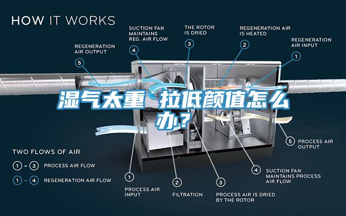濕氣太重 拉低顏值怎么辦？