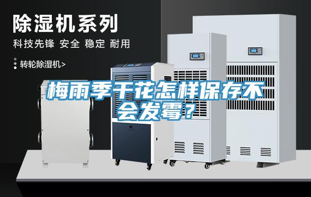 梅雨季干花怎樣保存不會(huì)發(fā)霉？