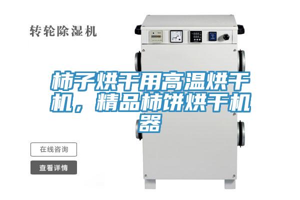 柿子烘干用高溫烘干機(jī)，精品柿餅烘干機(jī)器