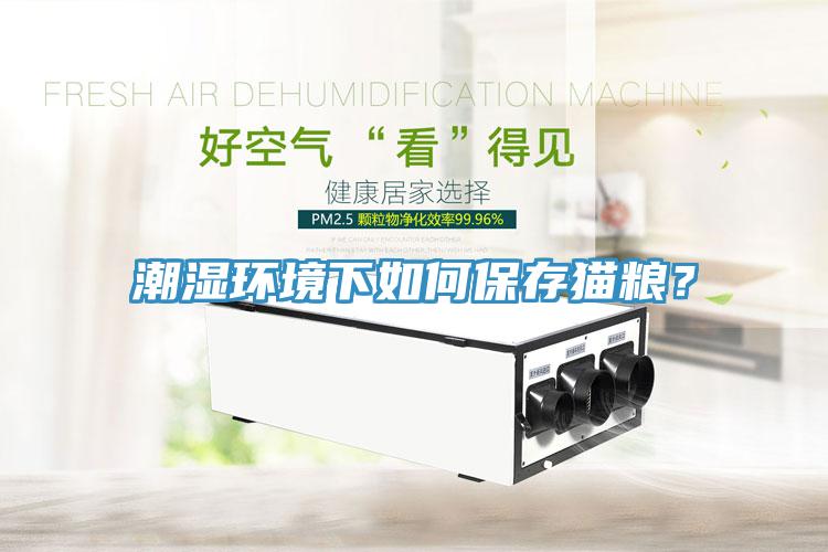 潮濕環(huán)境下如何保存貓糧？