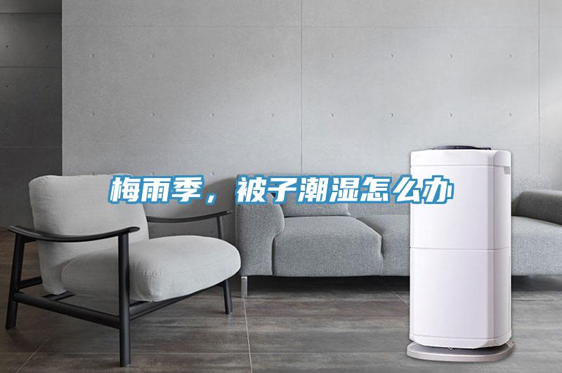 梅雨季，被子潮濕怎么辦