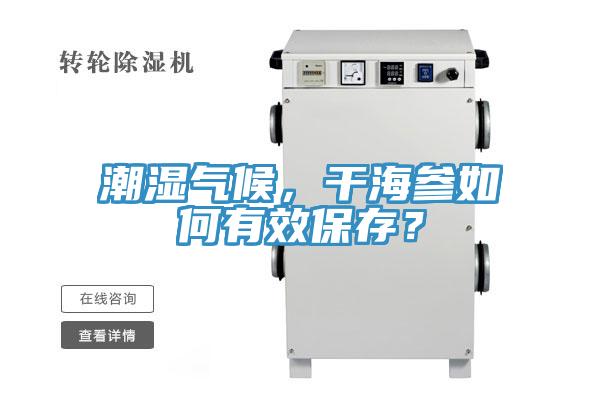 潮濕氣候，干海參如何有效保存？