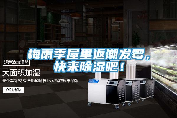 梅雨季屋里返潮發(fā)霉，快來除濕吧！