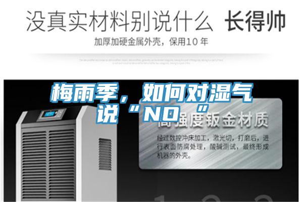 梅雨季，如何對濕氣說“NO ”