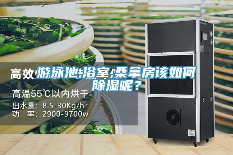 游泳池,浴室,桑拿房該如何除濕呢？
