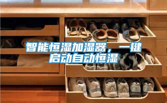 智能恒濕加濕器，一鍵啟動自動恒濕