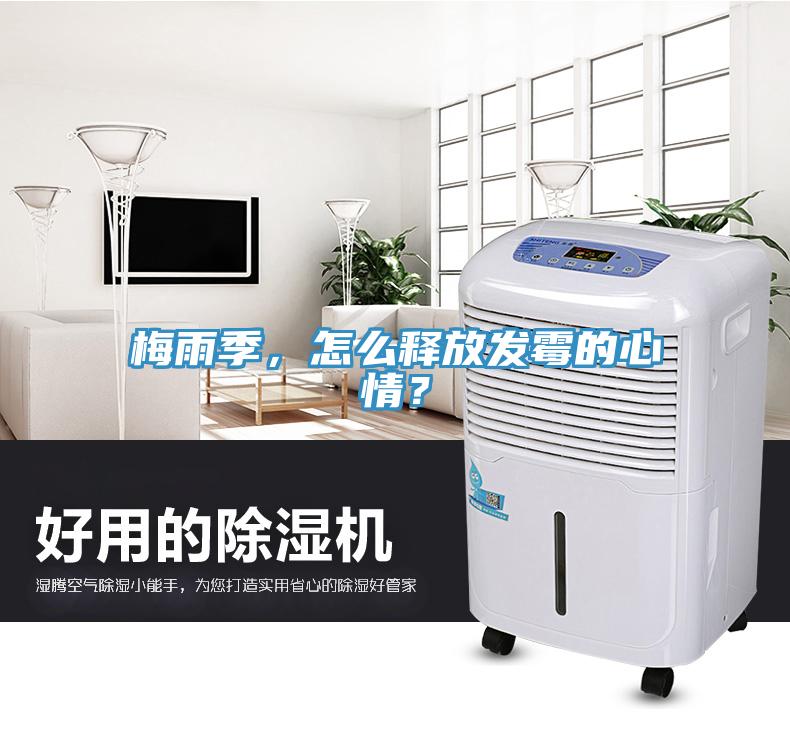 梅雨季，怎么釋放發(fā)霉的心情？