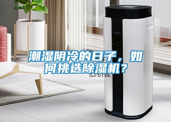 潮濕陰冷的日子，如何挑選除濕機？