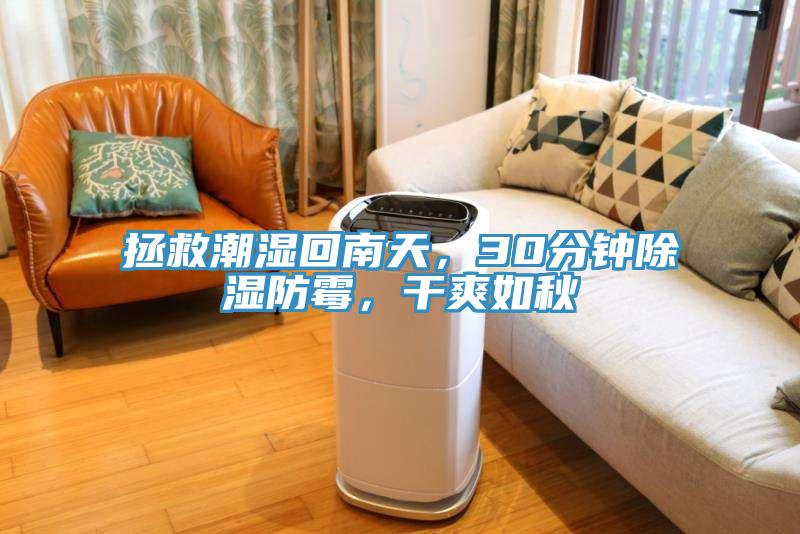 拯救潮濕回南天，30分鐘除濕防霉，干爽如秋