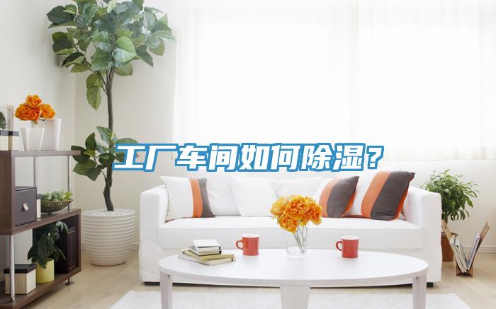工廠車(chē)間如何除濕？
