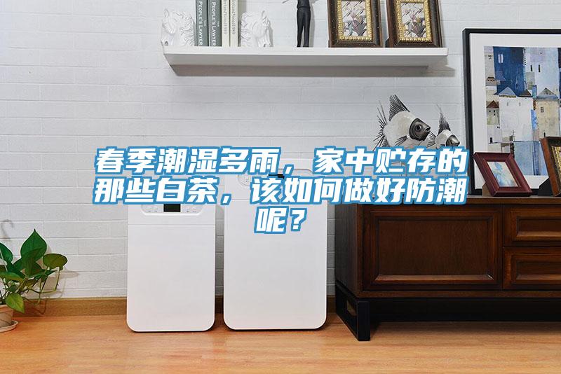 春季潮濕多雨，家中貯存的那些白茶，該如何做好防潮呢？
