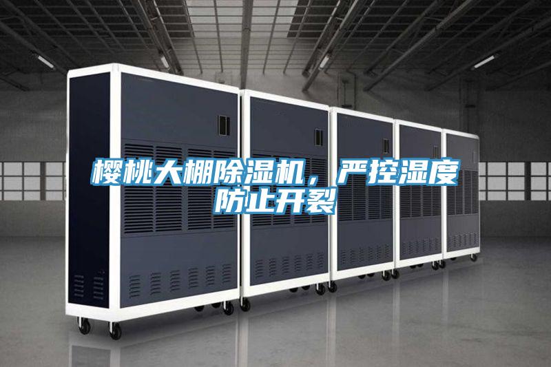 櫻桃大棚除濕機，嚴控濕度防止開裂