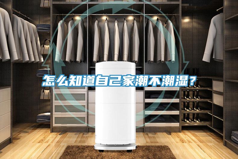 怎么知道自己家潮不潮濕？