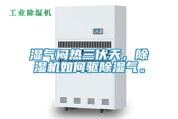 濕氣悶熱三伏天，除濕機(jī)如何驅(qū)除濕氣。