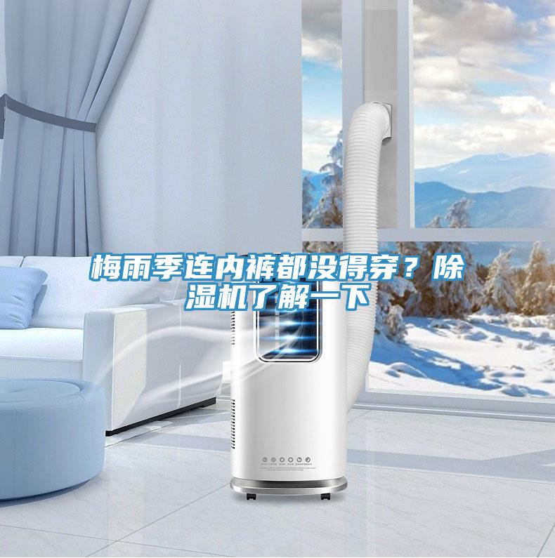 梅雨季連內(nèi)褲都沒得穿？除濕機了解一下