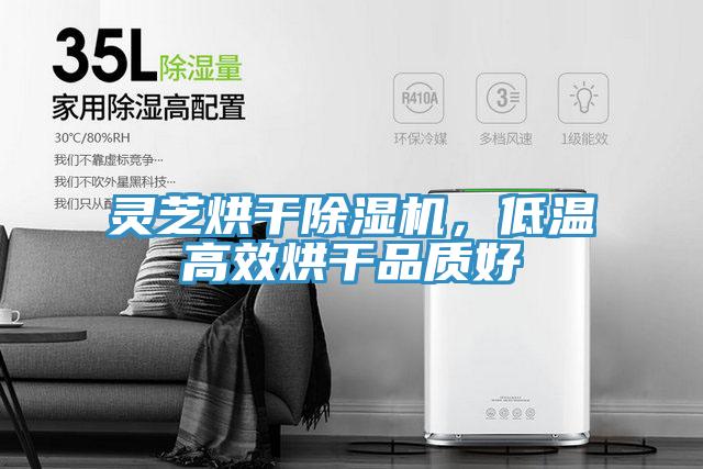靈芝烘干除濕機，低溫高效烘干品質(zhì)好