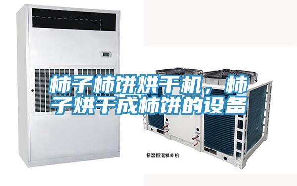 柿子柿餅烘干機(jī)，柿子烘干成柿餅的設(shè)備