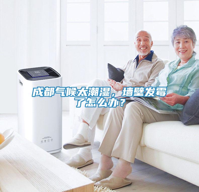 成都氣候太潮濕，墻壁發(fā)霉了怎么辦？