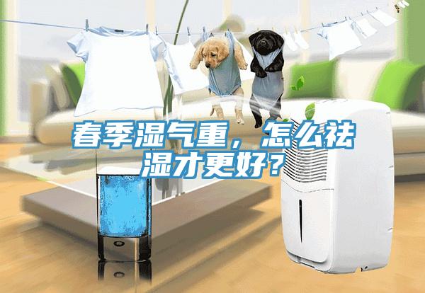 春季濕氣重，怎么祛濕才更好？
