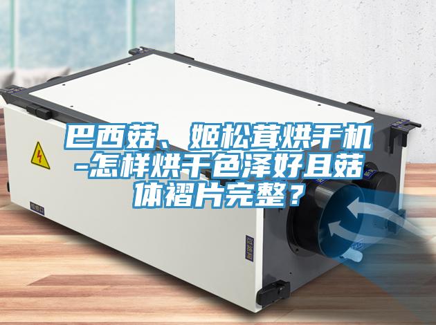 巴西菇、姬松茸烘干機(jī)-怎樣烘干色澤好且菇體褶片完整？