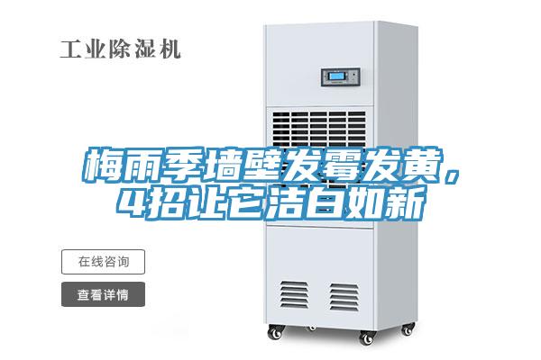 梅雨季墻壁發(fā)霉發(fā)黃，4招讓它潔白如新