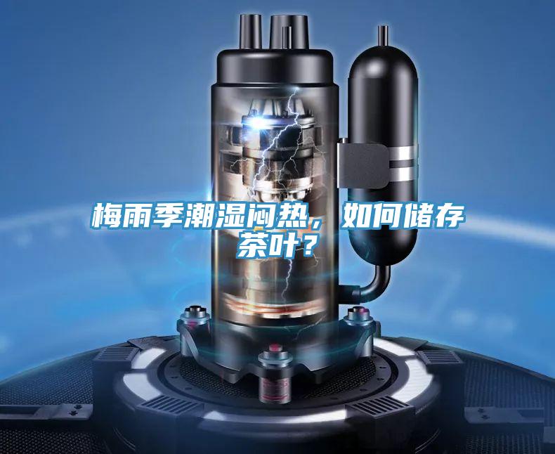 梅雨季潮濕悶熱，如何儲存茶葉？