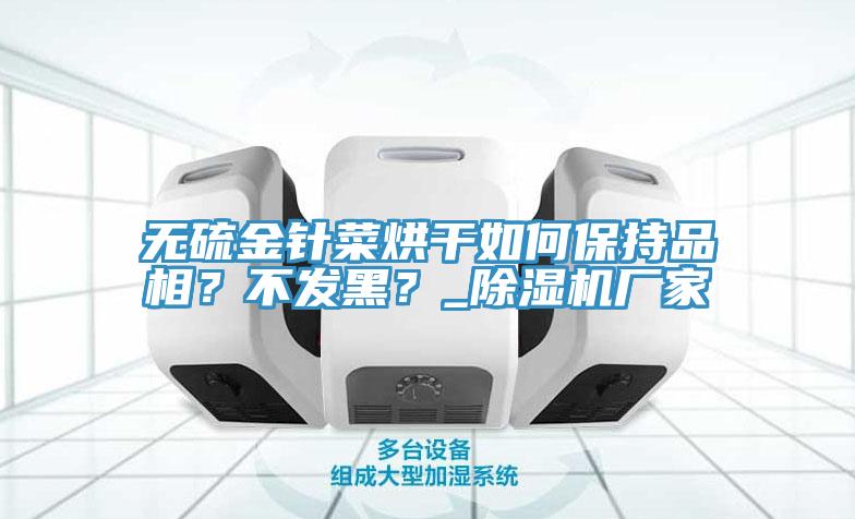 無(wú)硫金針菜烘干如何保持品相？不發(fā)黑？_除濕機(jī)廠家