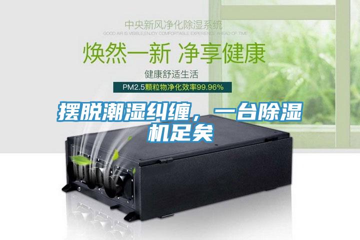 擺脫潮濕糾纏，一臺(tái)除濕機(jī)足矣