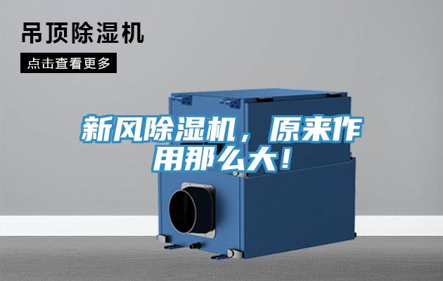 新風(fēng)除濕機(jī)，原來(lái)作用那么大！