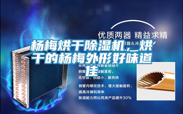 楊梅烘干除濕機，烘干的楊梅外形好味道佳