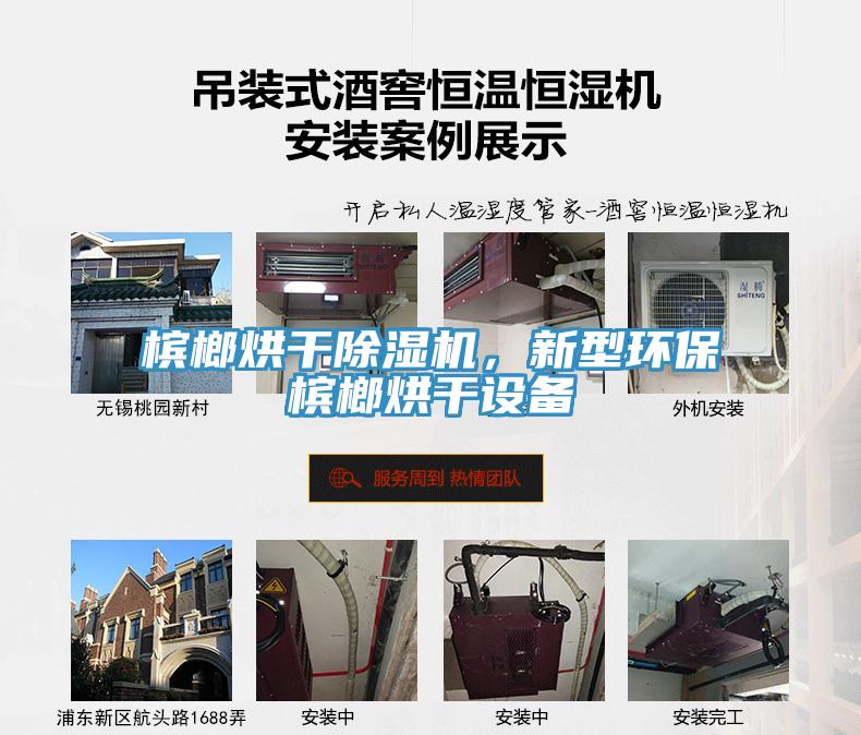 檳榔烘干除濕機(jī)，新型環(huán)保檳榔烘干設(shè)備