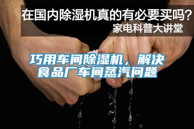 巧用車間除濕機，解決食品廠車間蒸汽問題