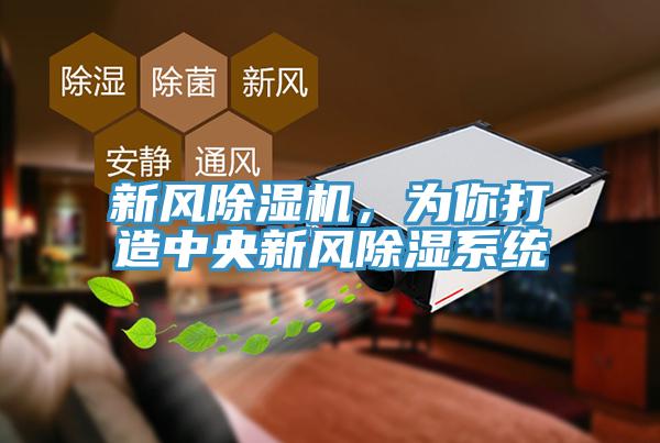 新風(fēng)除濕機(jī)，為你打造中央新風(fēng)除濕系統(tǒng)